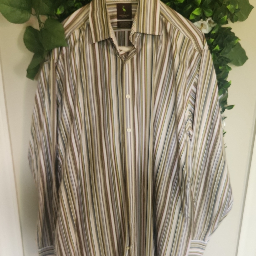 Tailorbyrd Multicolor Striped Button Down Shirt